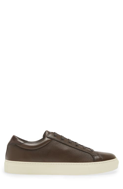 To Boot New York Men's Pescara Leather Low-top Sneakers In Brown