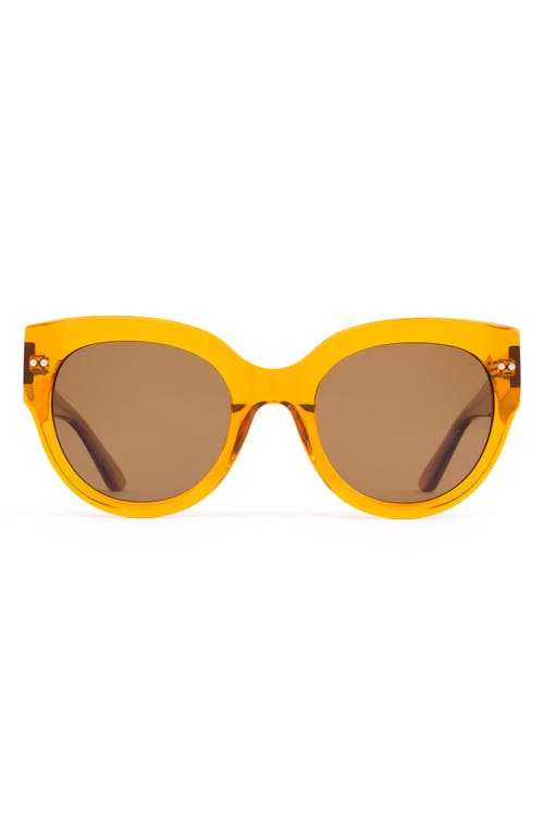 Shop Sito Shades Good Life Polar 54mm Round Sunglasses In Amber/brown Polar