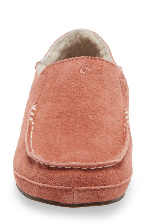 Shop Olukai Nohea Nubuck Slipper In Cedarwood/cedarwood Leather