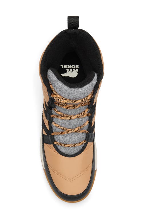 Sorel Whitney Ii Waterproof Snow Boot In Tawny Buff/black
