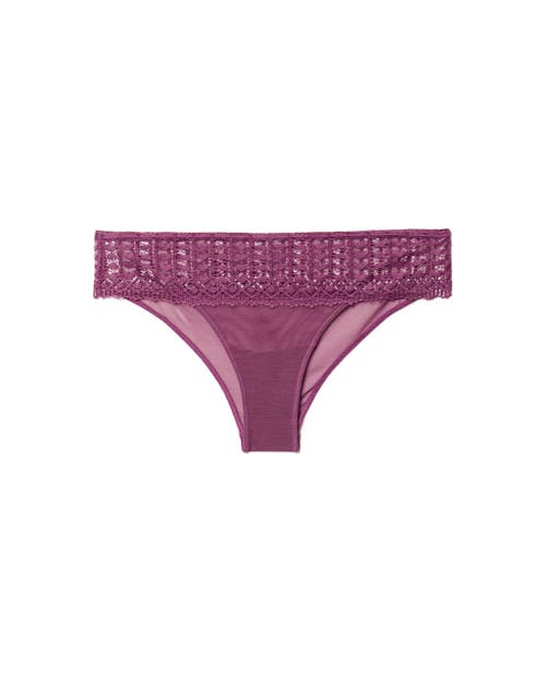 Shop Adore Me Nymphadora Bikini Panties In Dark Purple