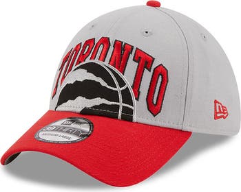 Toronto raptors 39thirty hat hotsell