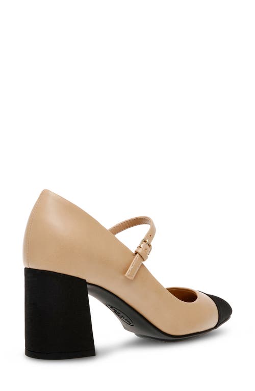 Shop Anne Klein Bryant Pointed Toe Pump In Nude/black