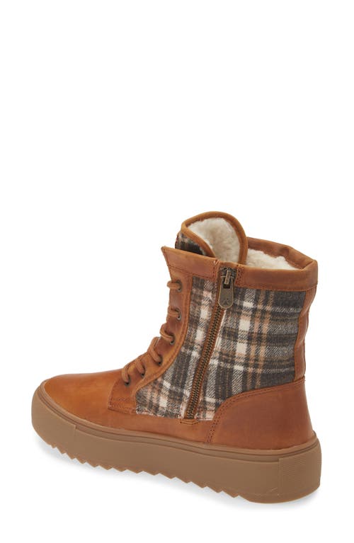 Cougar Apex Lace-up Boot In Butternut