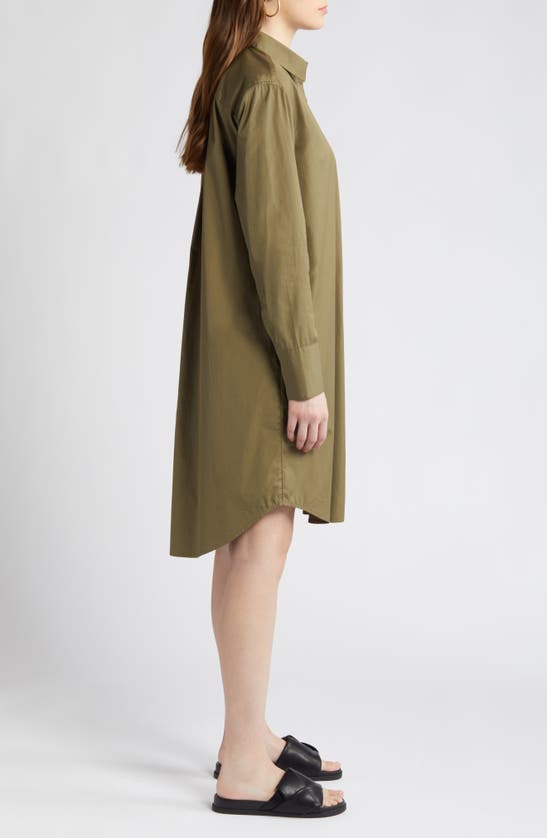 Shop Nordstrom Long Sleeve High-low Shirtdress In Olive Burnt