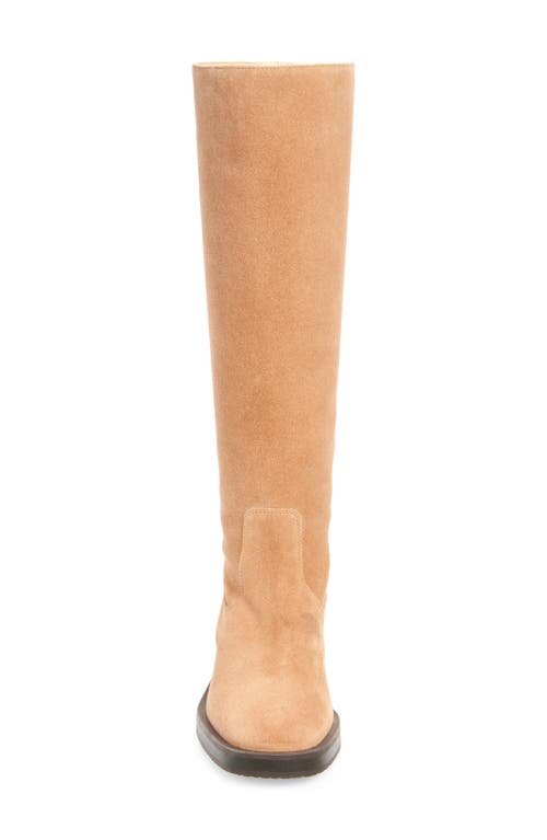 Shop Stuart Weitzman Kaia Knee High Boot In New Camel Sport Suede