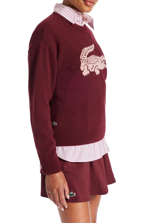 Shop Lacoste Big Croc Cashmere & Wool Crewneck Sweater In Zinfandel/candy