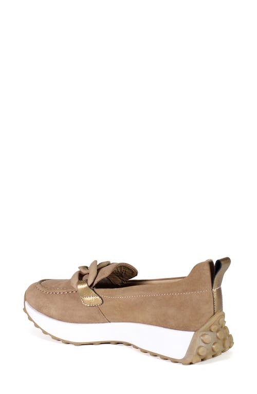 Diba True Kind Words Loafer In Sigaro/bronze