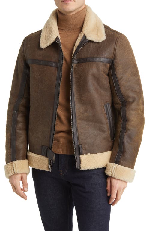 Leather Jacket with Genuine Shearling Trim in Dark Brown