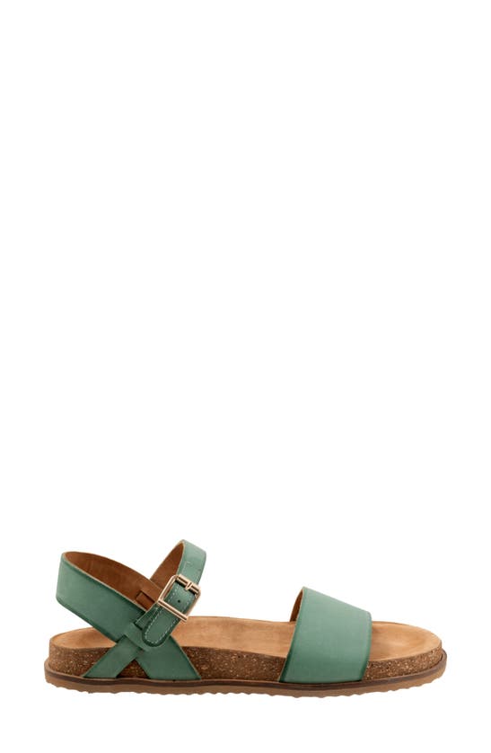 Shop Softwalk ® Upland Ankle Strap Sandal In Aqua