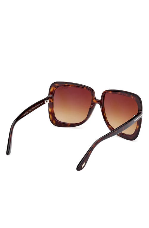 Shop Tom Ford Lorelai 59mm Square Sunglasses In Shiny Dark Havana/brown