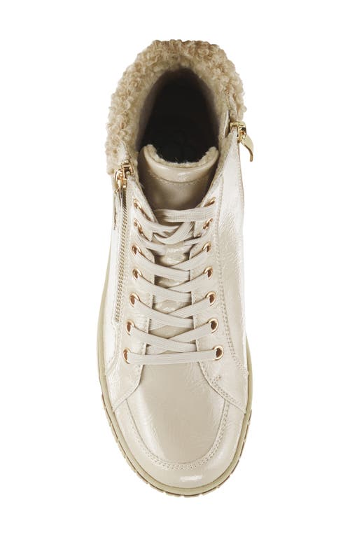 Spring Step Alps Water Resistant Faux Shearling Sneaker In Beige Patent