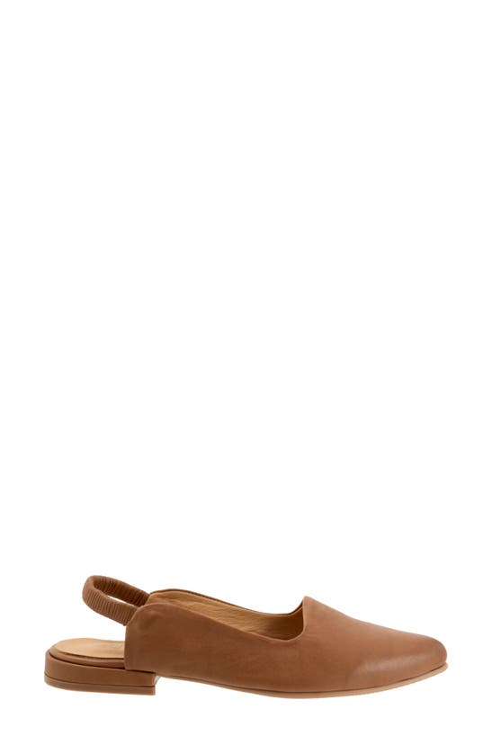 Shop Bueno Indie Slingback Pointed Toe Flat In Walnut
