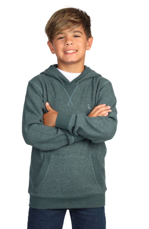 Tailorbyrd Kids' Heathered Hoodie In Green Heather