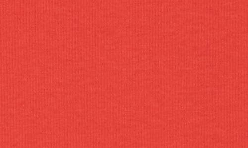 Rag & Bone Essie Scoop Neck Ribbed Tank In Poppy