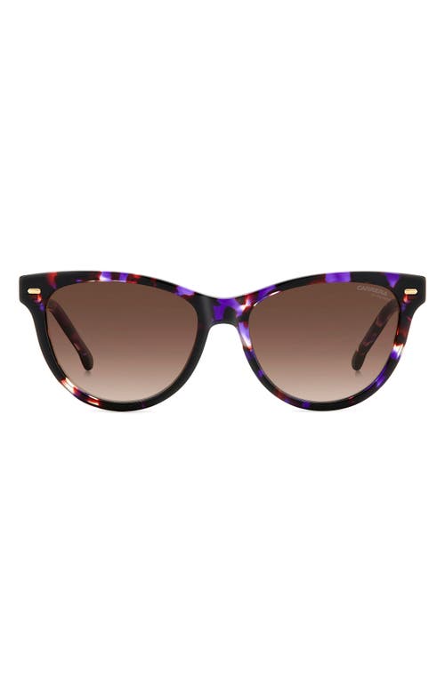 54mm Cat Eye Sunglasses in Violet Havana/Brown Gradient