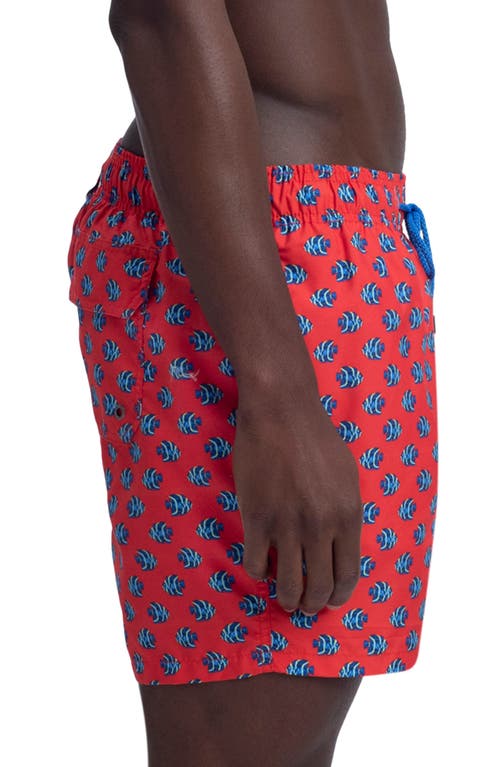 Shop Bugatchi Neat Print Swim Trunks In Ruby