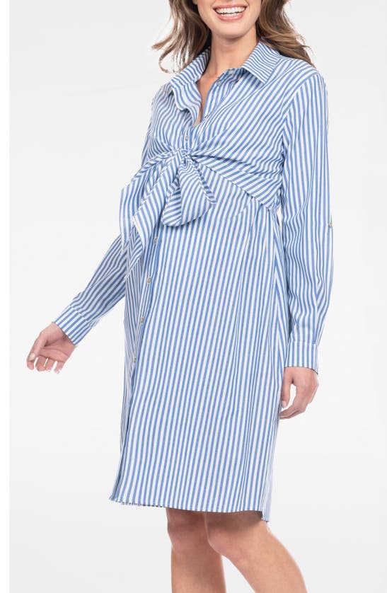 Seraphine Stripe Long Sleeve Maternity/nursing Shirtdress In Blue Stripe