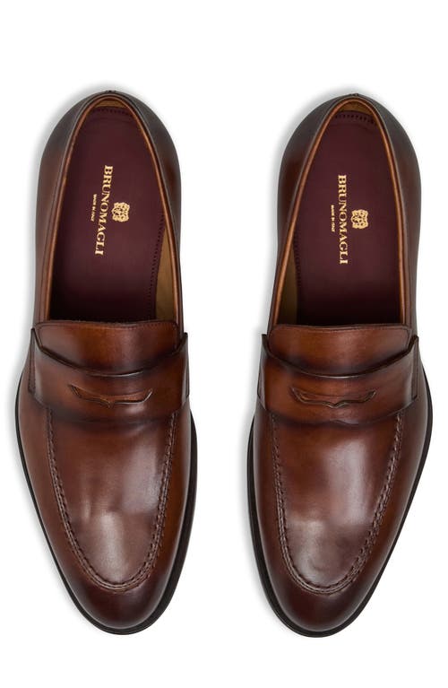 Bruno Magli Payton Penny Loafer In Cognac