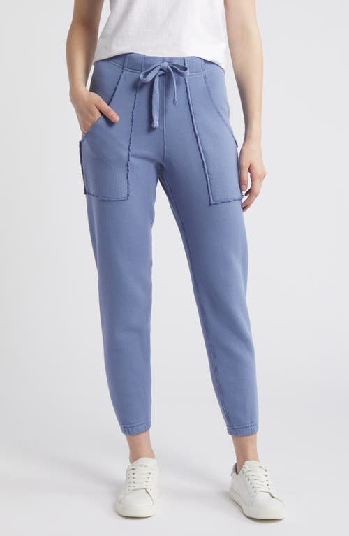 Frank & Eileen Eamon Fleece Jogger Sweatpants in Blueberry 