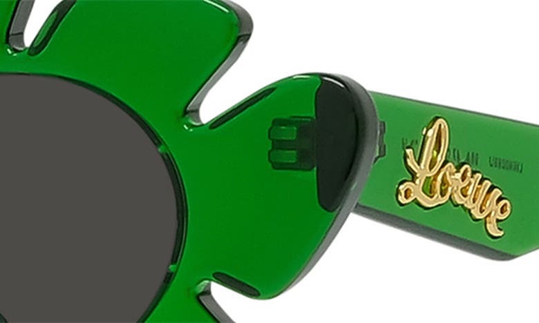 Shop Loewe X Paula's Ibiza 47mm Cat Eye Sunglasses In Dark Green/ Other / Smoke