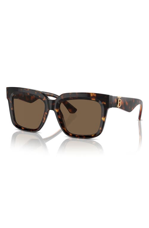 Shop Burberry 54mm Square Sunglasses In Dark Havana