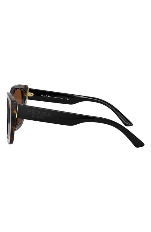 Shop Prada 52mm Butterfly Sunglasses In Havana/brown Gradient