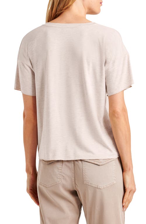 Splendid V-neck Jersey T-shirt In Oat Heather