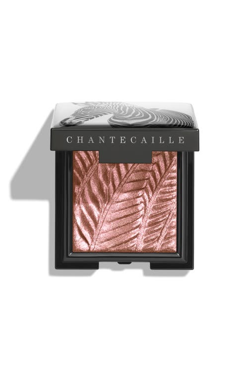 Chantecaille Luminescent Eye Shade in Zebra at Nordstrom
