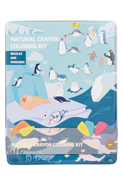 COLOR JEU Whales & Penguins Coloring Party Kit in Assorted at Nordstrom