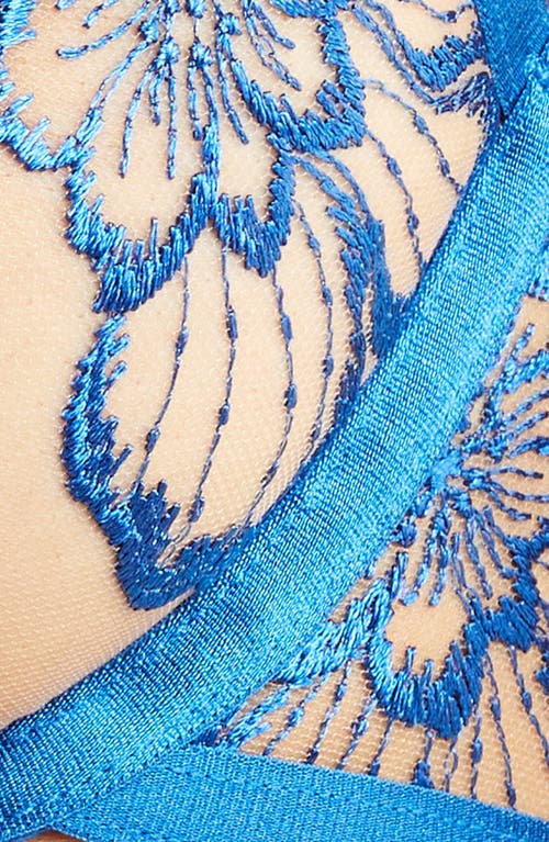 Bluebella Catalina Embroidered Mesh Underwire Bra In Egyptian Blue/sheer
