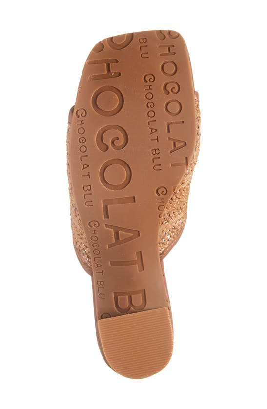 Chocolat Blu Delsy Slide Sandal In Brown