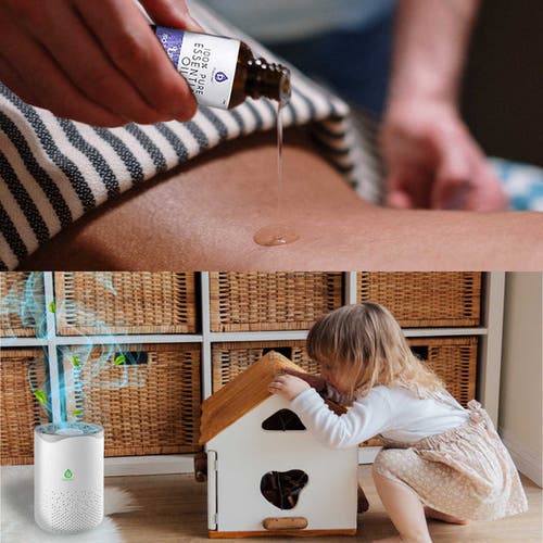 Pursonic Air Purifier With 6-pack Premium Essential Oils Collection In Pure