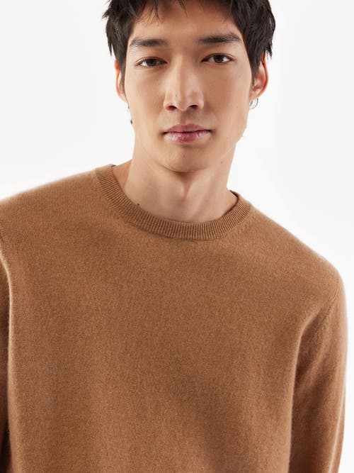 Shop Gobi Cashmere Crew Neck Sweater In Sheepskin