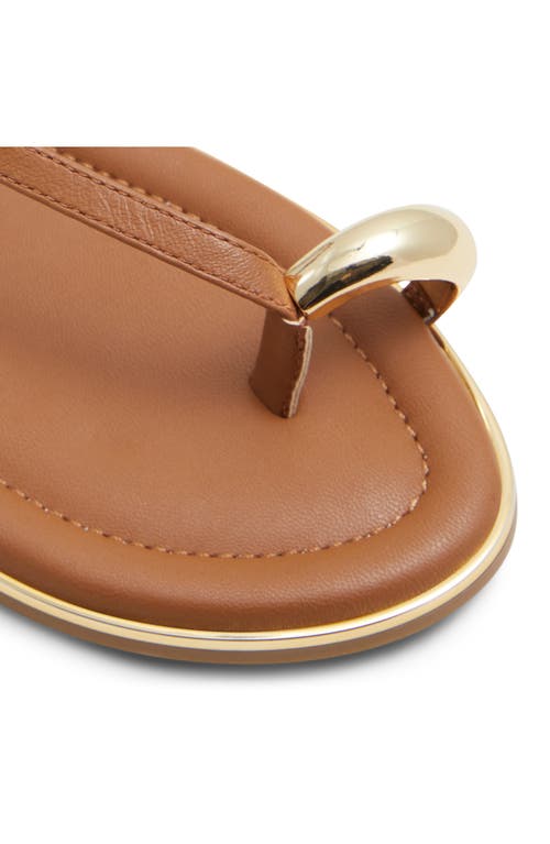 Shop Aldo Jomali Ankle Strap Sandal In Medium Brown