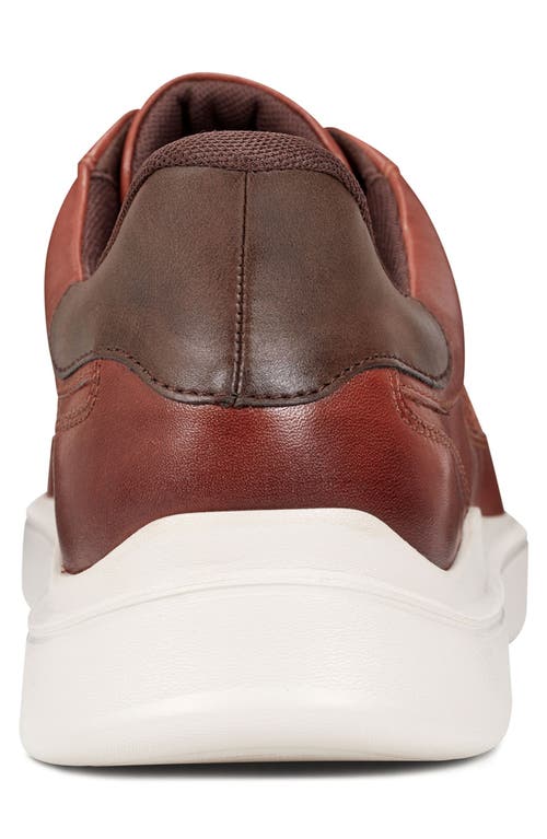 Rockport Men Tristen Step Activated Lace Up Sneaker In Medium Natural