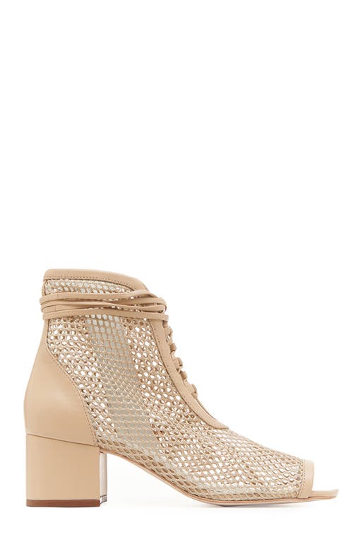 Shop Daniella Shevel Nola Bootie In Beige