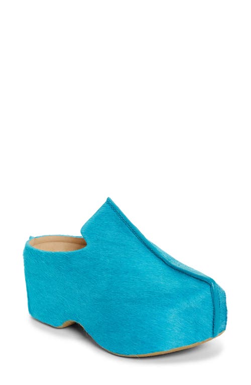 JW Anderson Genuine Calf Hair Platform Clog in Turquoise/Aqua at Nordstrom, Size 6Us