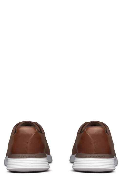 Wolf & Shepherd Crossover Plain Toe Derby In Multi
