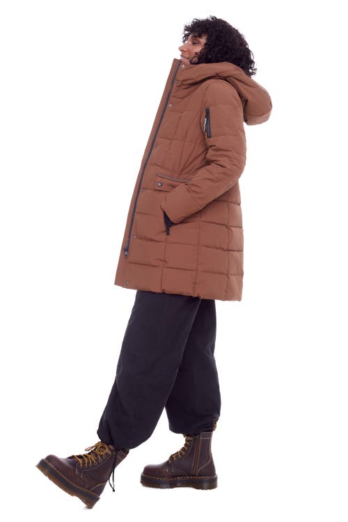 Shop Alpine North Kootney In Maple