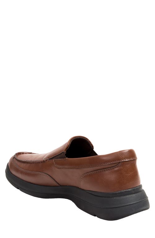 Deer Stags Spartan Slip-on Sneaker In Dark Brown