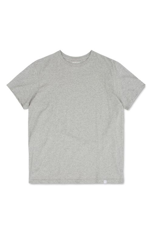 Druthers Men's Organic Cotton T-Shirt in Heather Grey