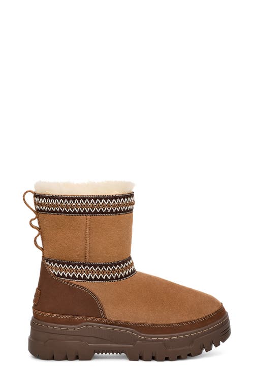 Shop Ugg(r) Classic Short Trailgazer Boot In Chestnut