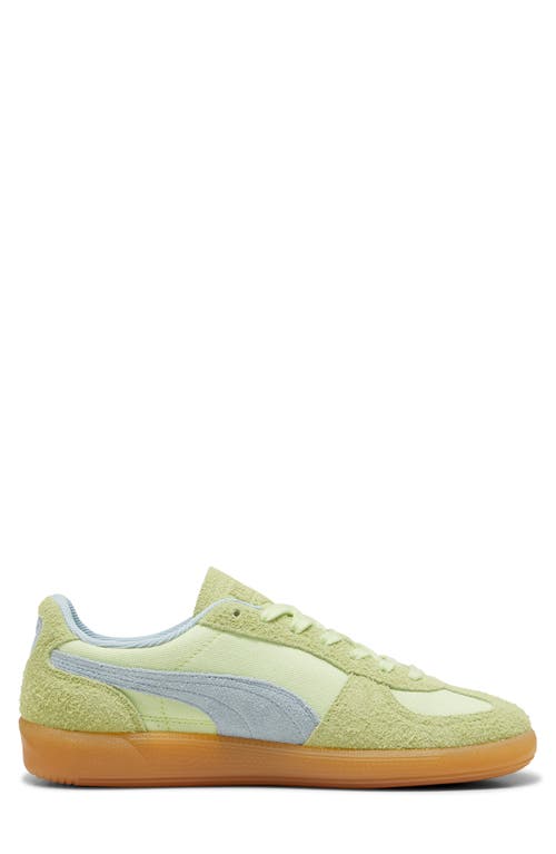 Shop Puma Palermo Sneaker In Cool Cucumber-frosted Dew-gold