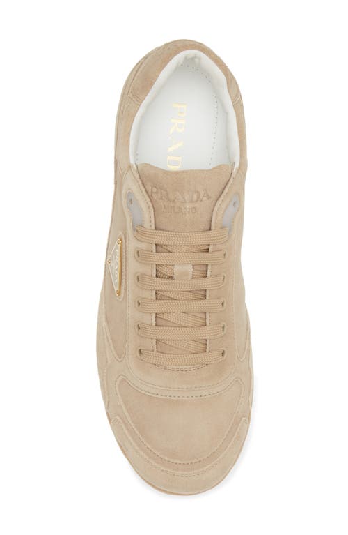 Shop Prada Trail Sneaker In Ecru