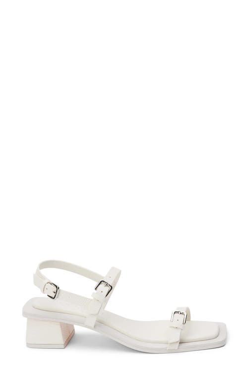 Coconuts By Matisse Maya Slingback Sandal In Bone Lizard