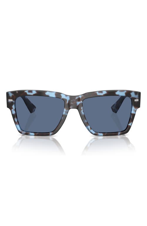 Dolce & Gabbana 55mm Square Sunglasses in Havana Blue at Nordstrom