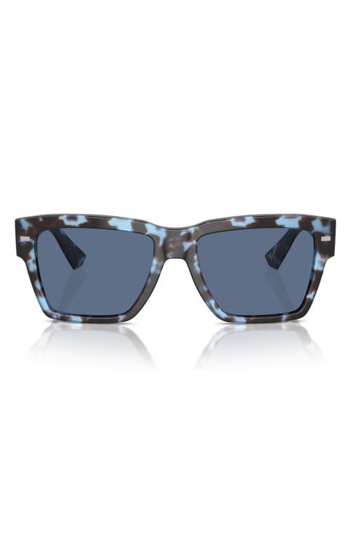 Shop Dolce & Gabbana Dolce&gabbana 55mm Square Sunglasses In Havana Blue