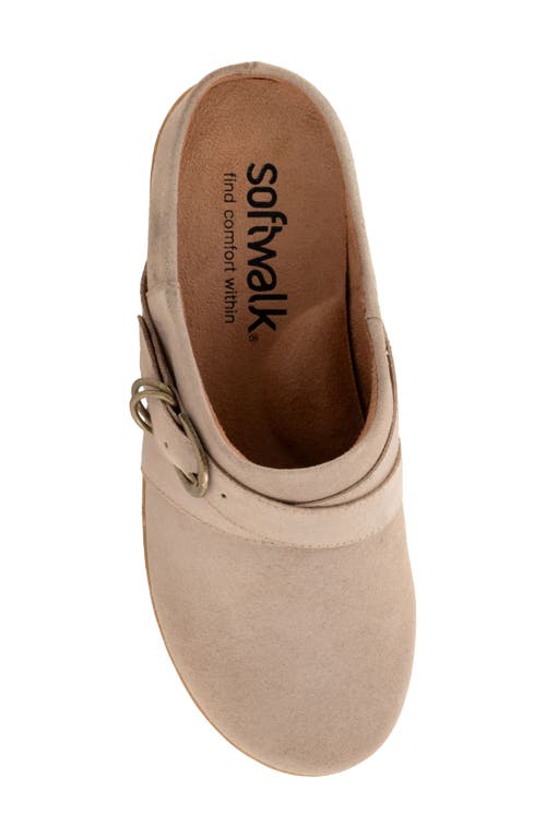 Softwalk ® Asmara Platform Mule In Taupe Suede
