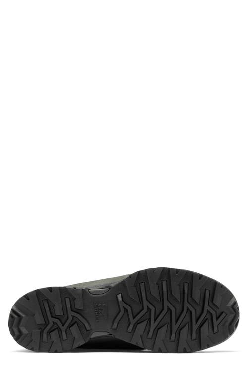 Sorel Buxton Lite Lace In Elk/black